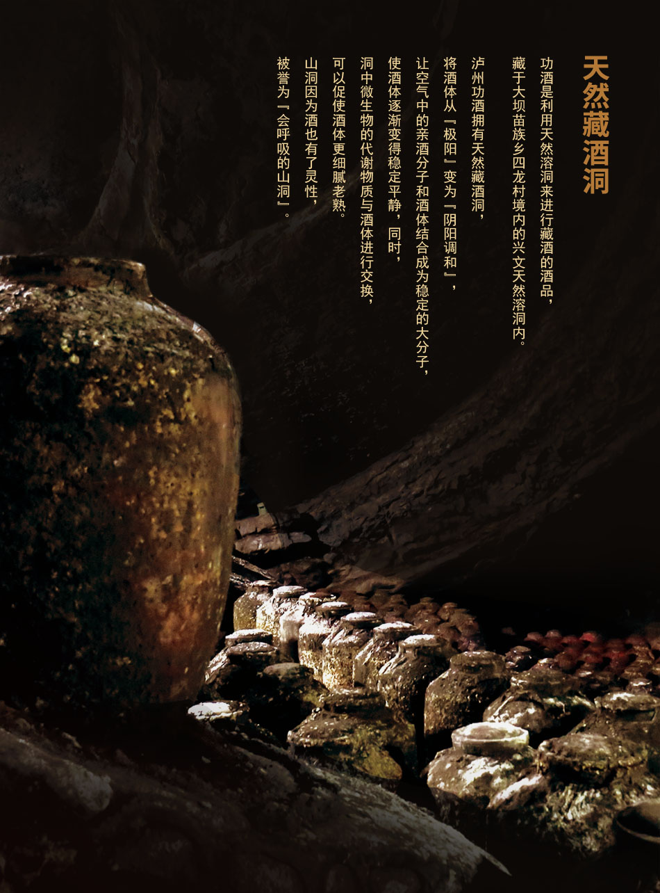 瀘州功酒